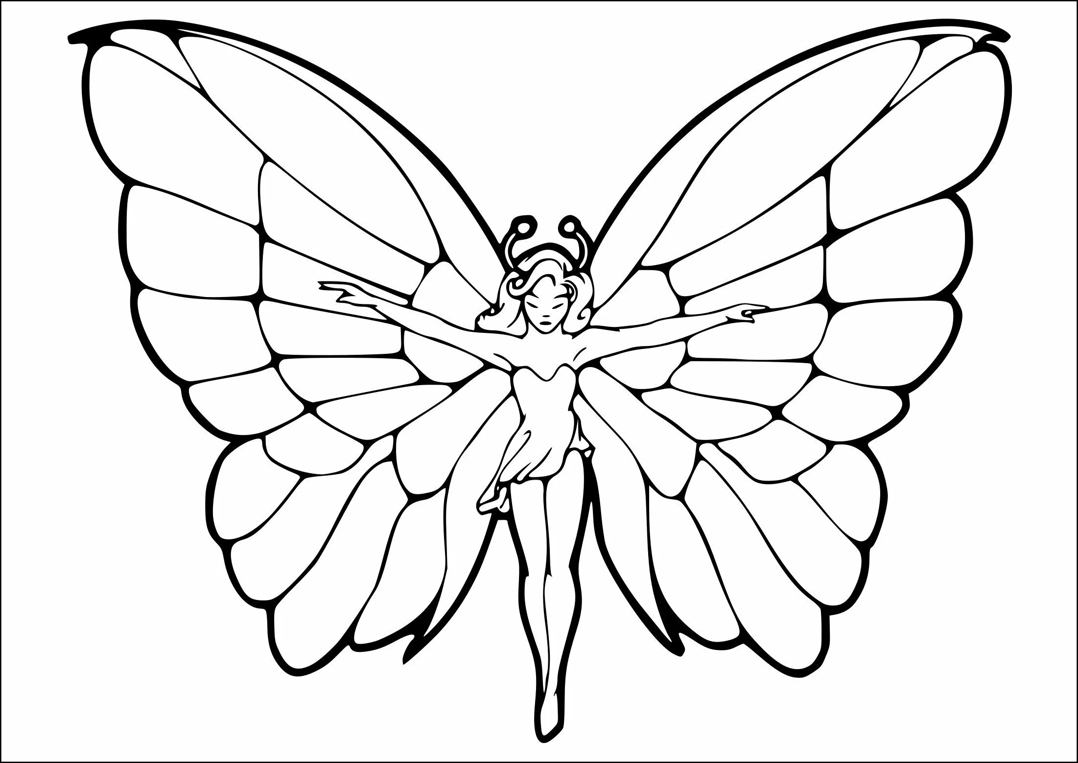 Butterfly wings #6