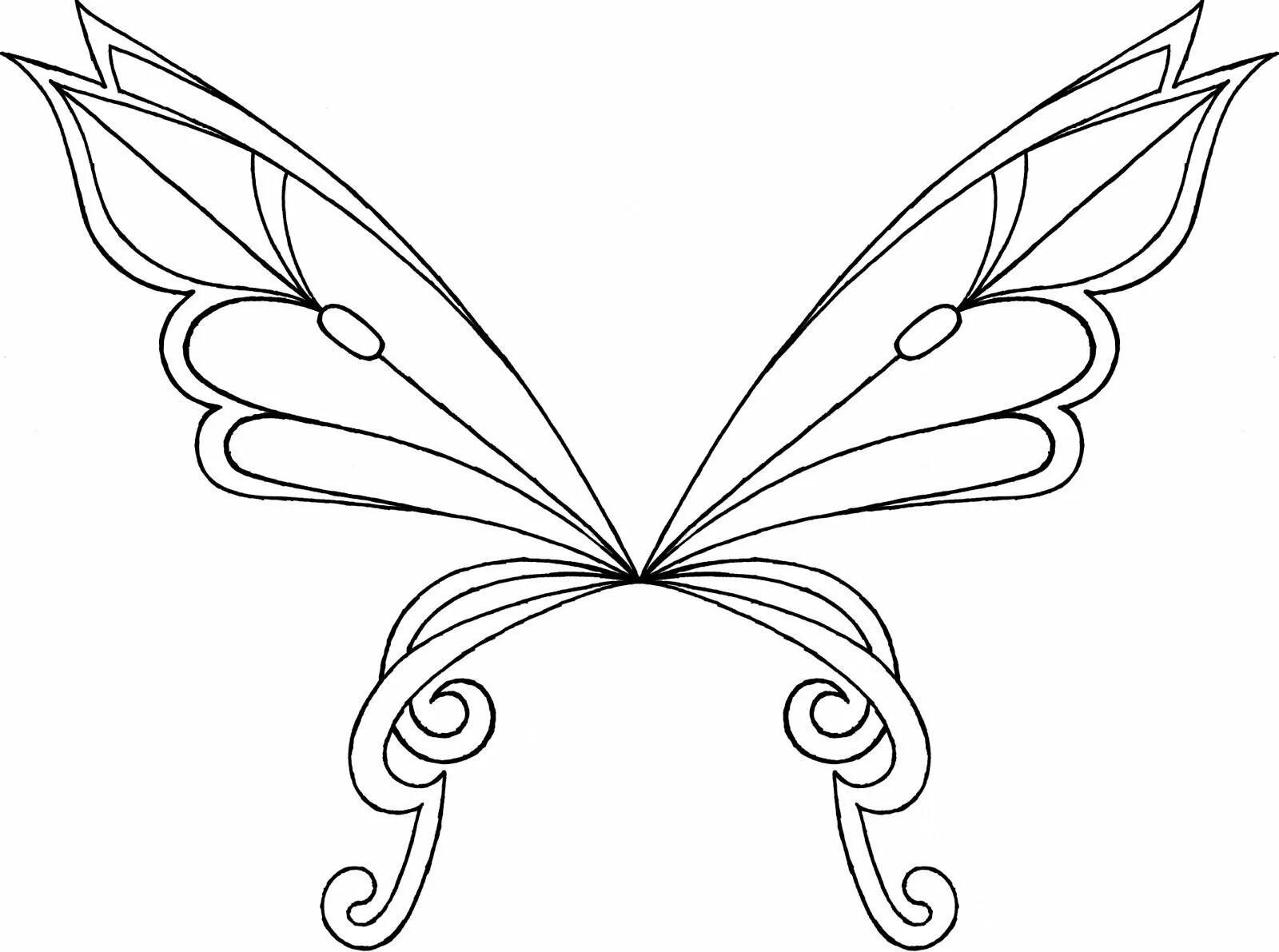 Butterfly wings #7