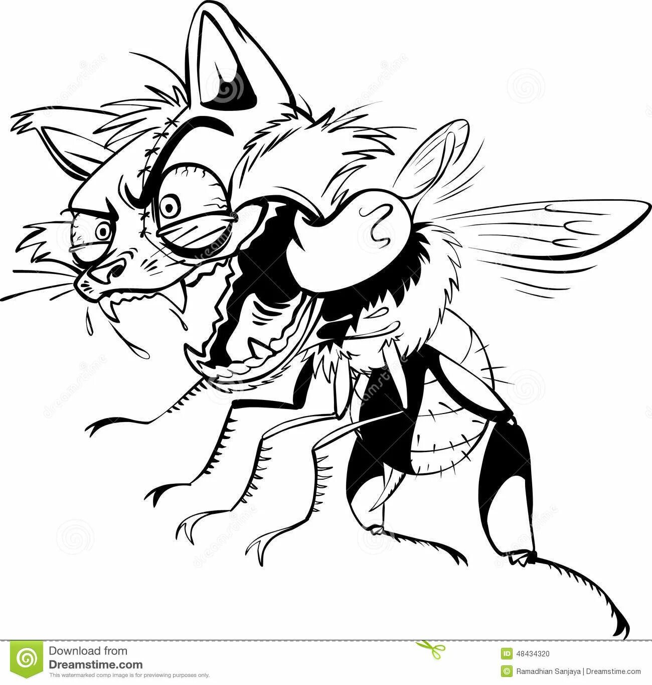 Innovative cat and bee coloring page