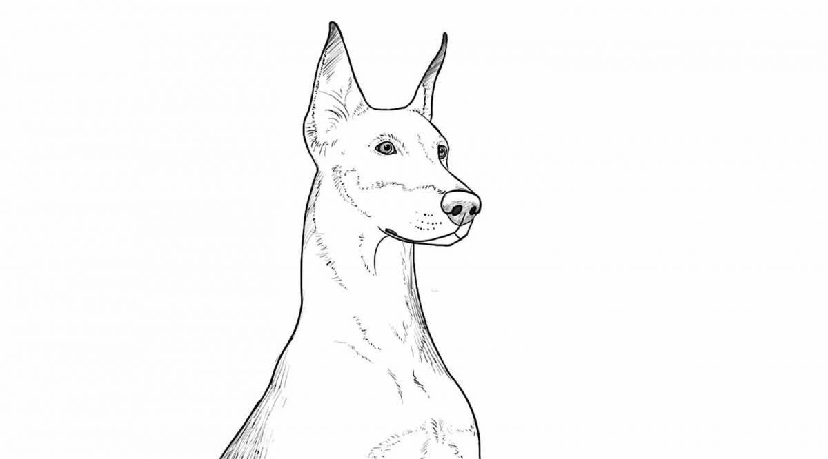 Раскраска яркая доберманская собака