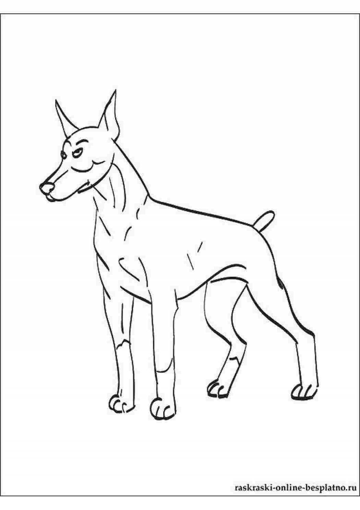 Coloring elegant doberman