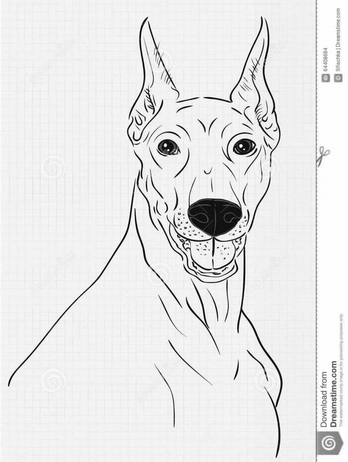 Colorful doberman dog coloring page