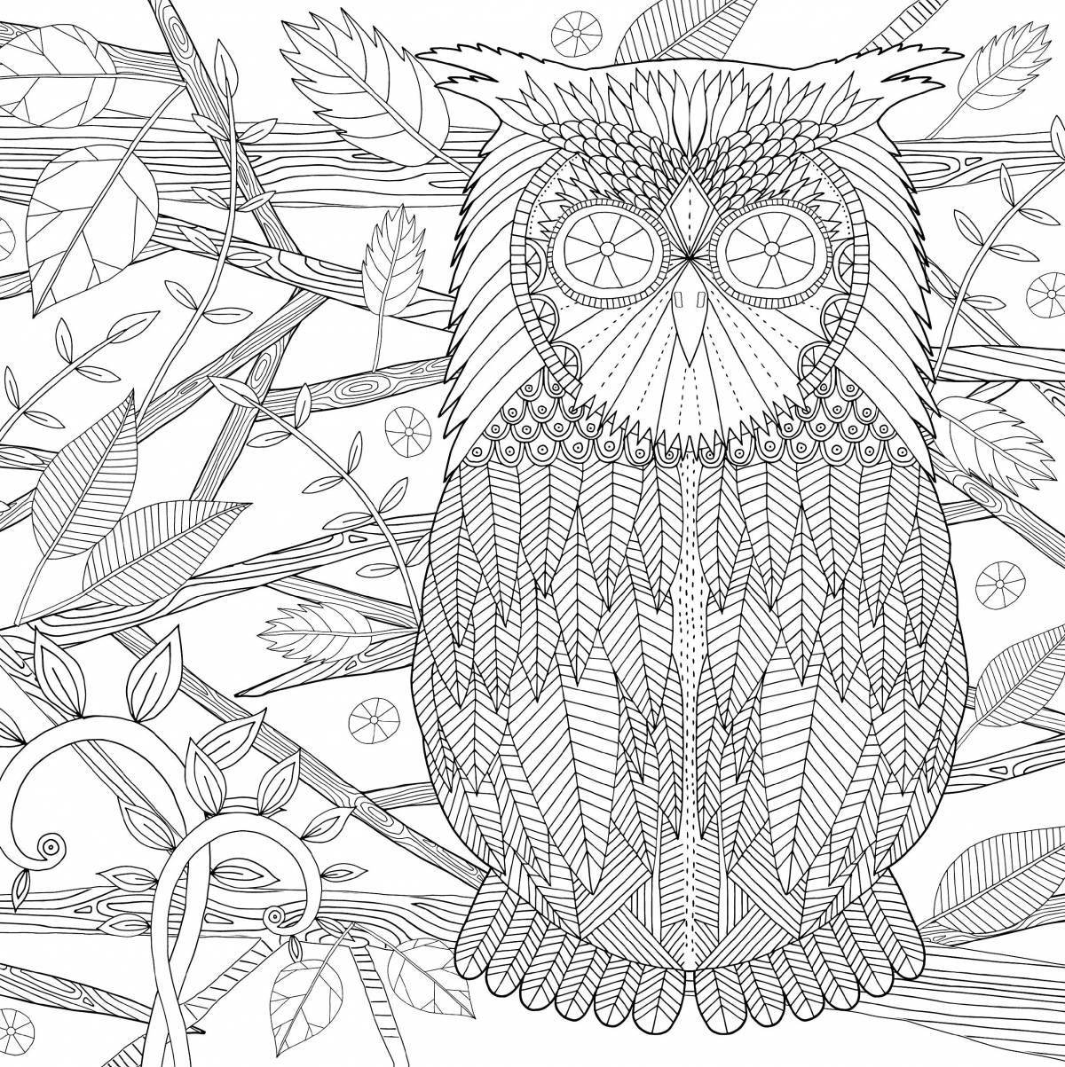 Complex owl shiny coloring