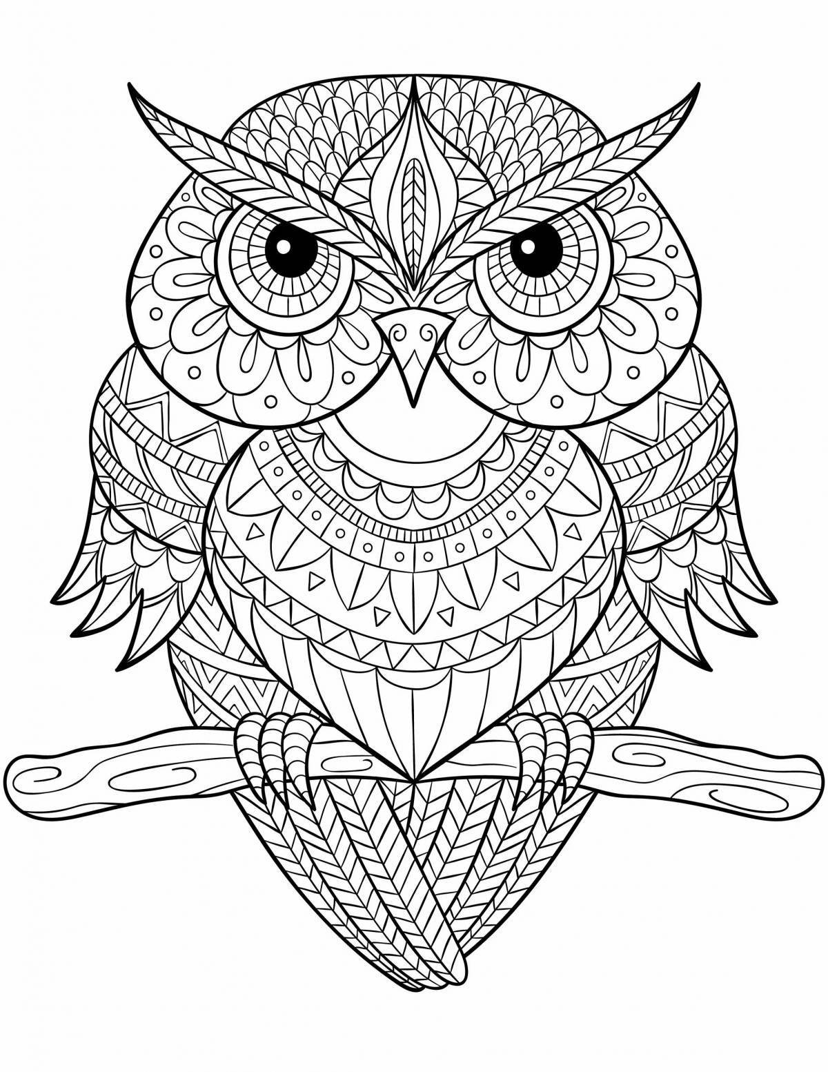 Delightful coloring complex owl