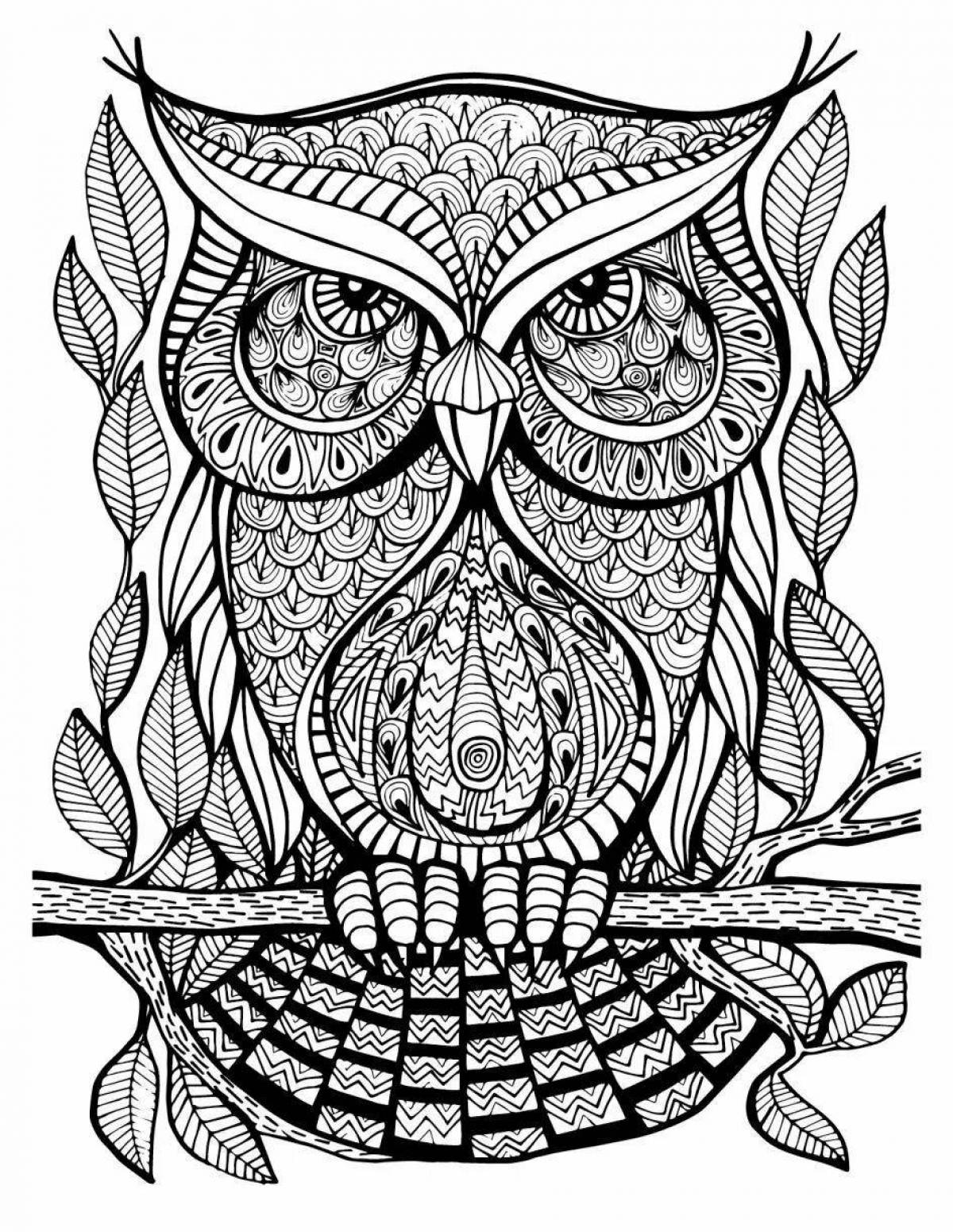 Playful coloring complex owl