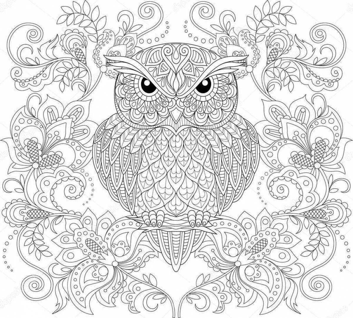 Fun coloring complex owl