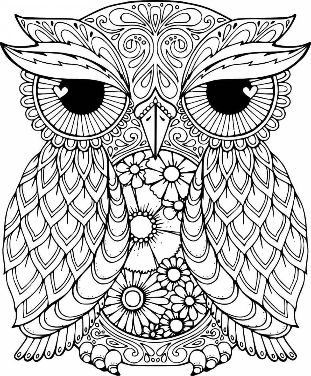 Attractive coloring complex owl