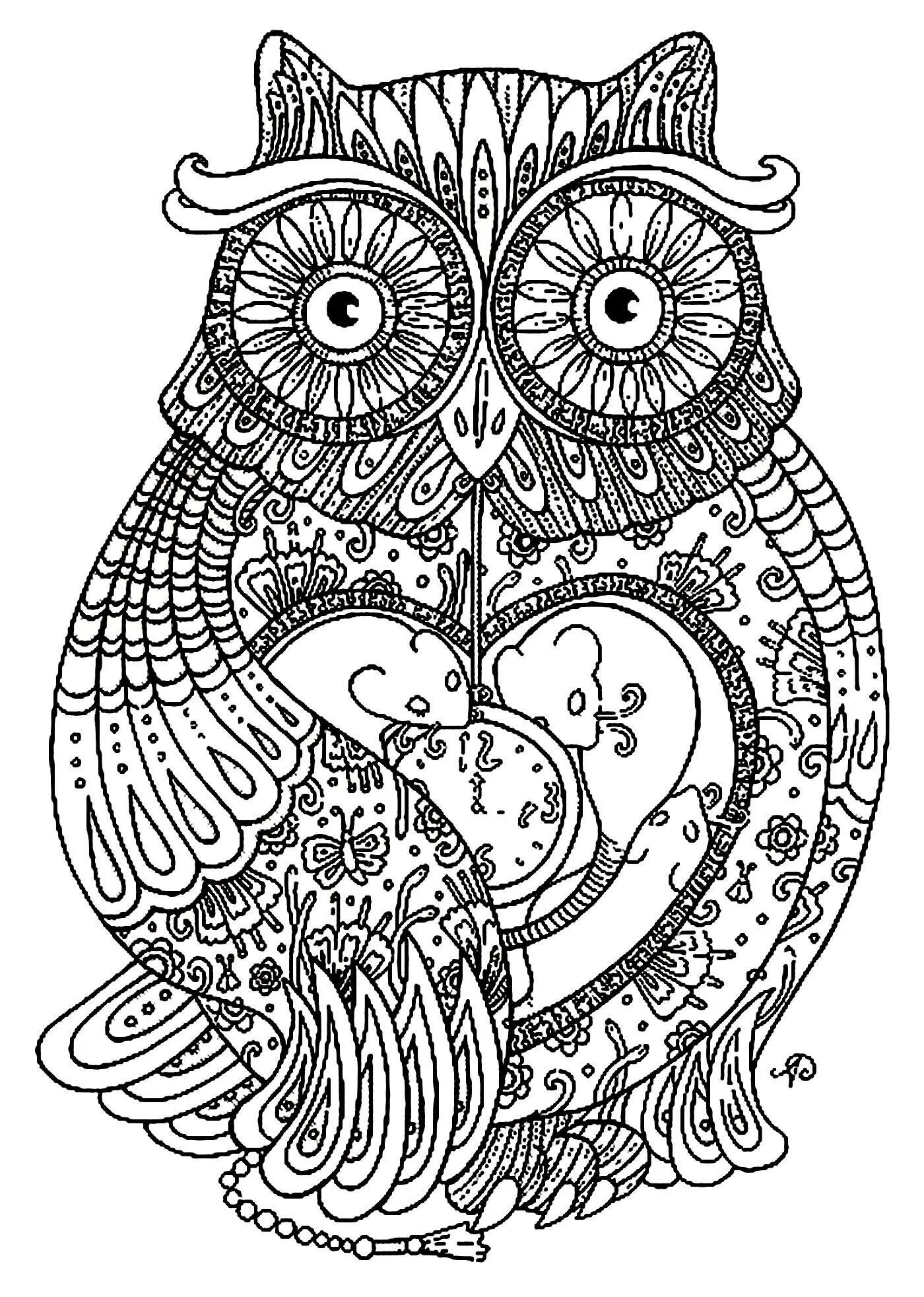 Dramatic coloring complex owl
