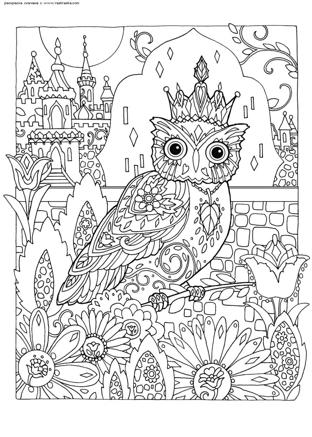 Fairy coloring complex owl
