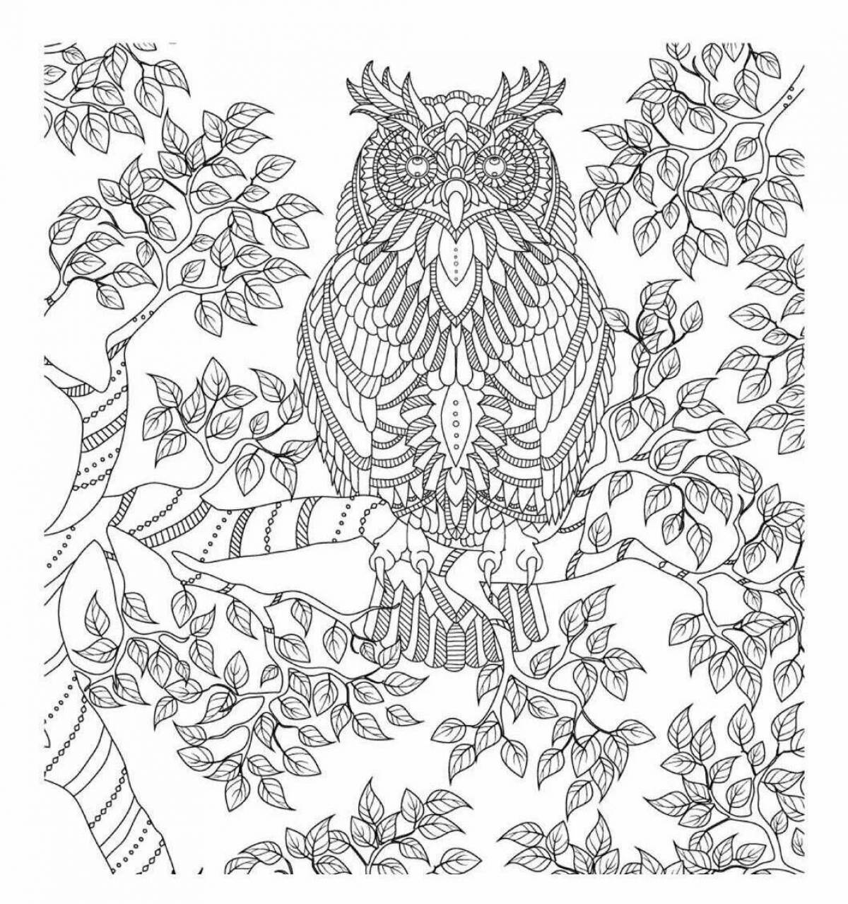 Wonderful coloring complex owl