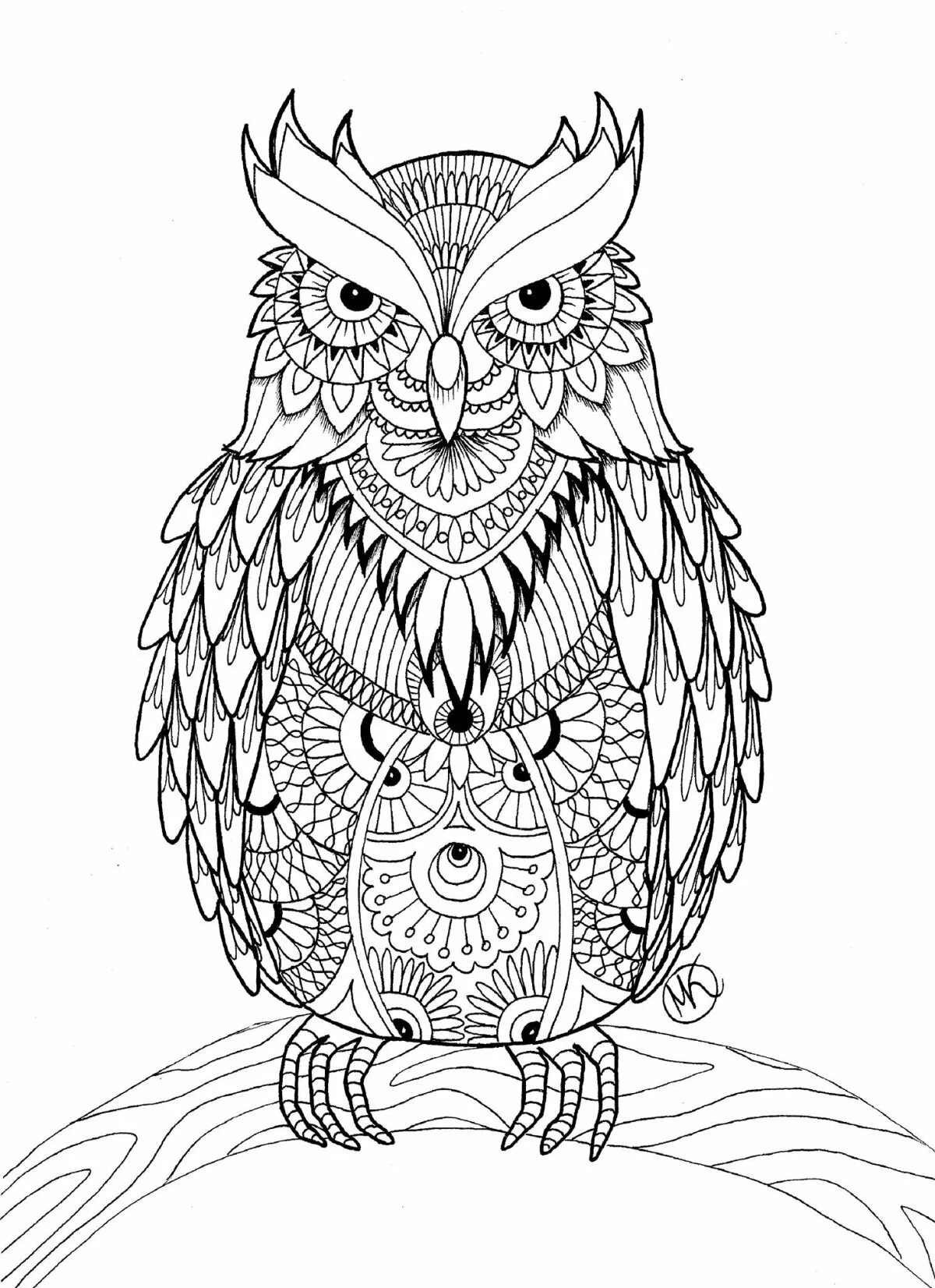 Outstanding coloring complex owl