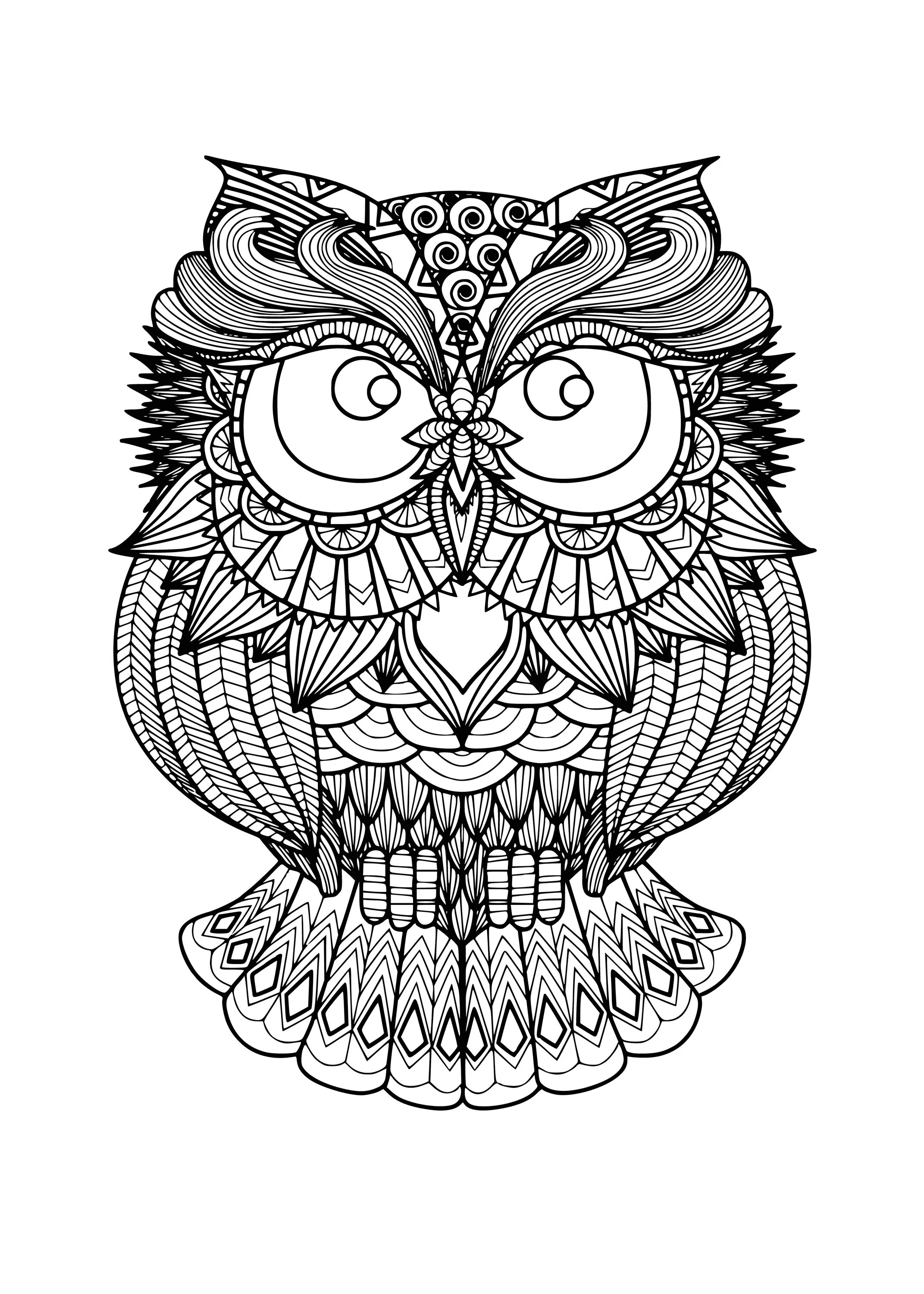 Complex owl #2