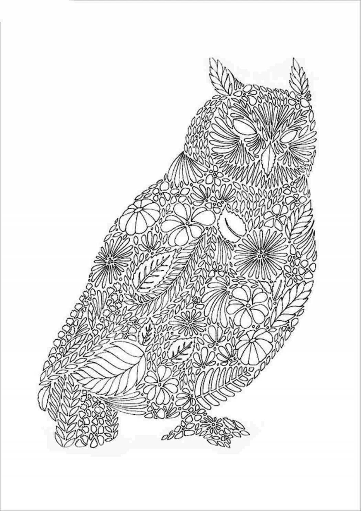 Complex owl #6