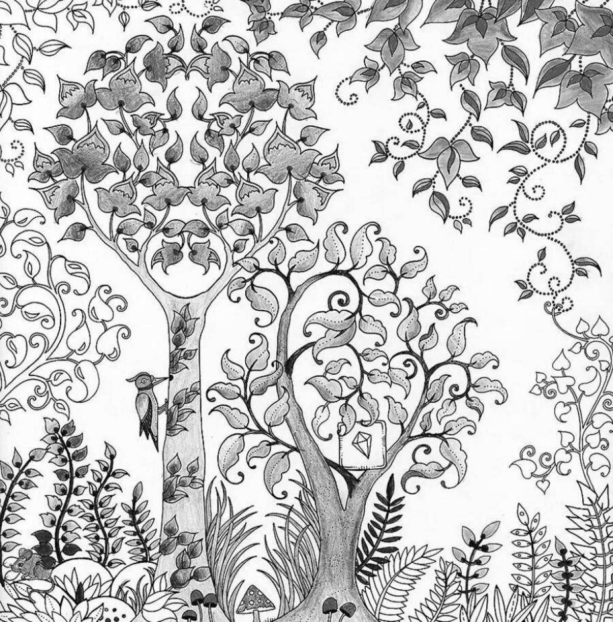 Colourful forest coloring book