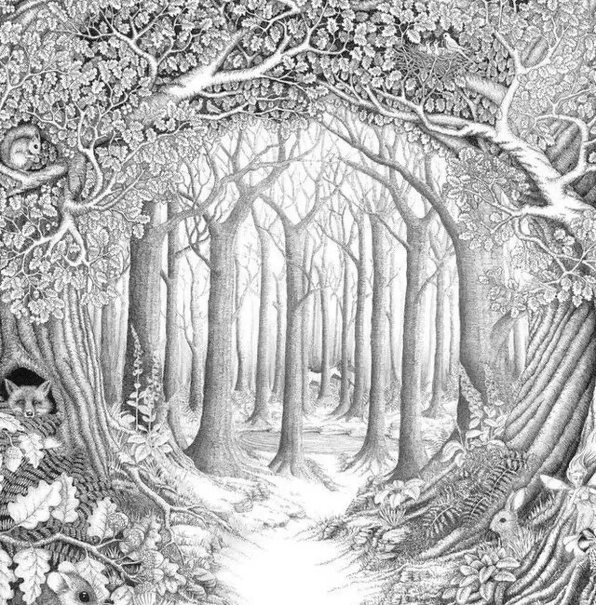Blissful forest coloring page
