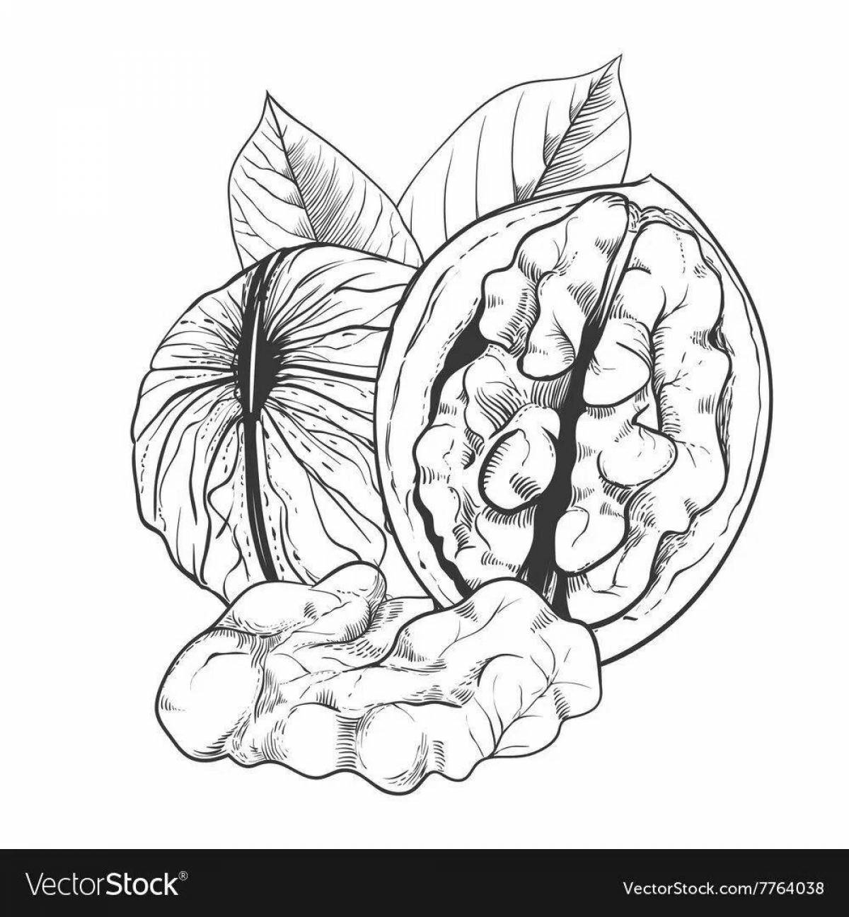 Joyful walnut coloring page
