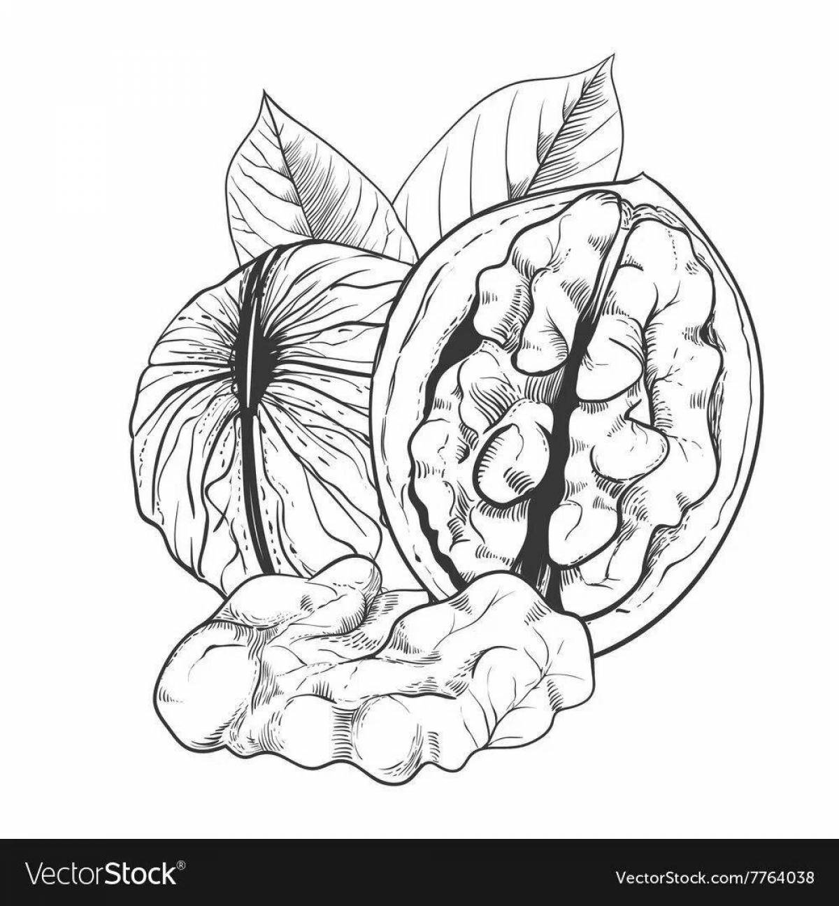 Радостная страница раскраски грецкого ореха