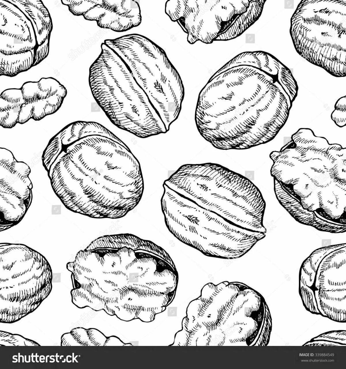 Playful walnut coloring page