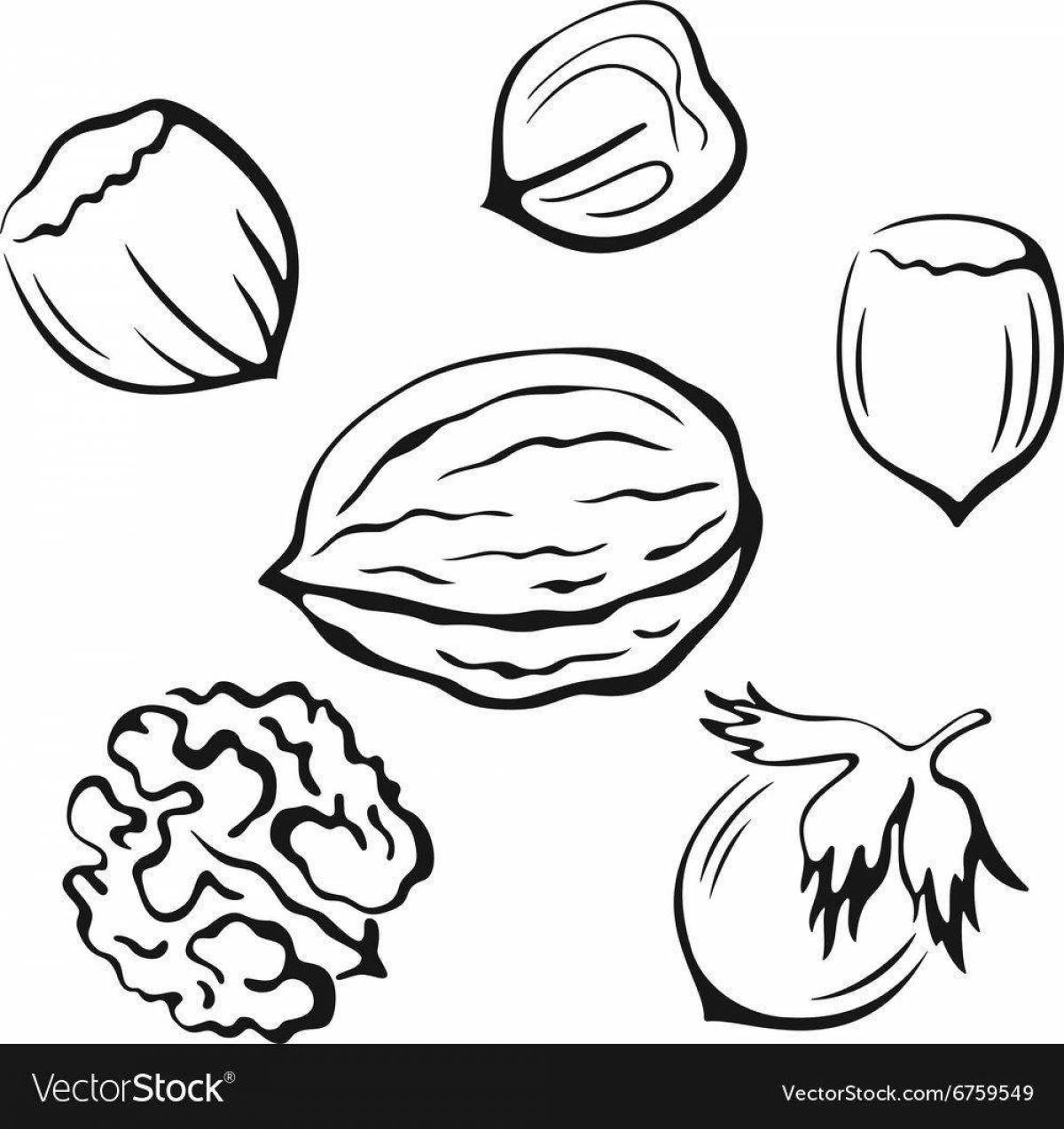 Glowing walnut coloring page
