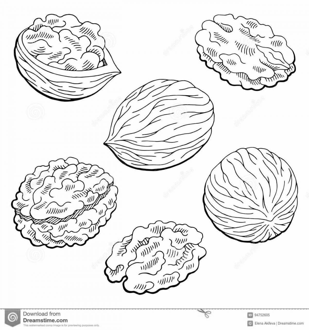 Раскраска орехи – арахис и фундук – Математические картинки
