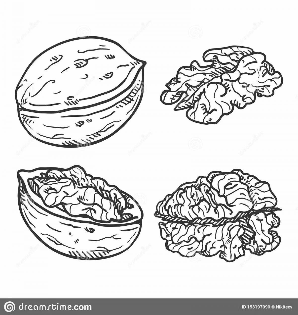 Cute walnut coloring page