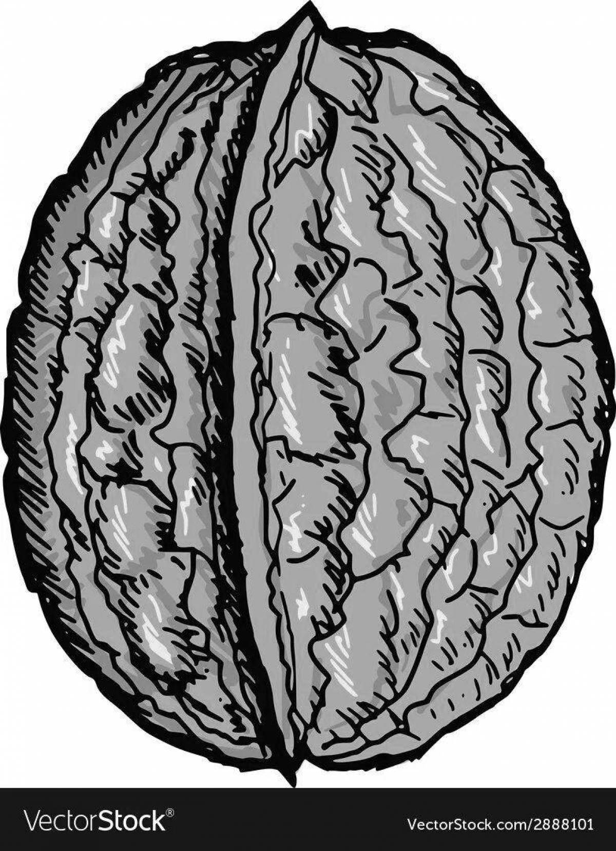Анимированная страница раскраски грецкого ореха