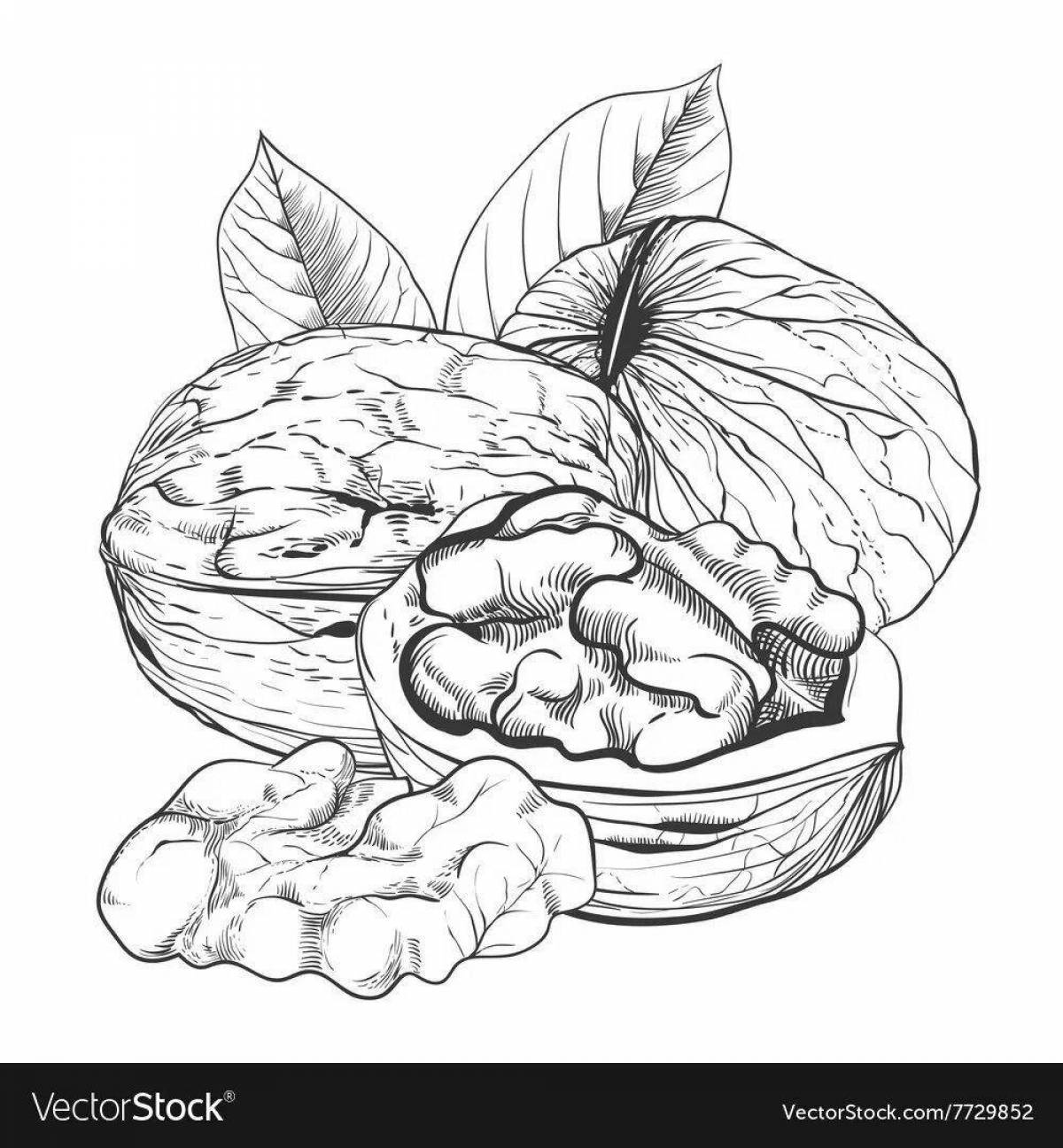 Humorous walnut coloring book