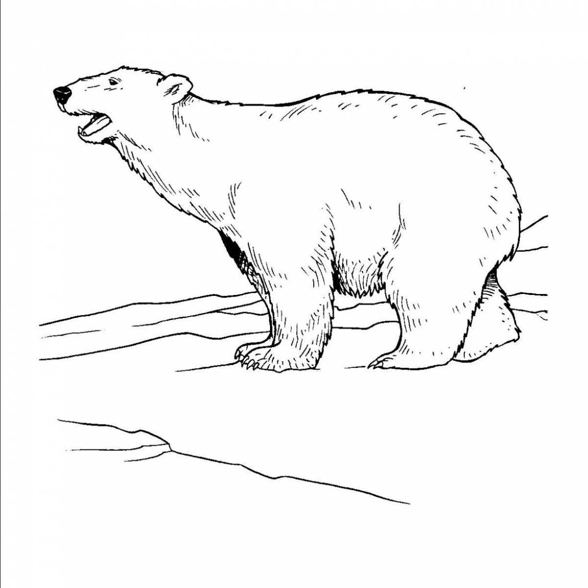 Coloring book adorable northern bear