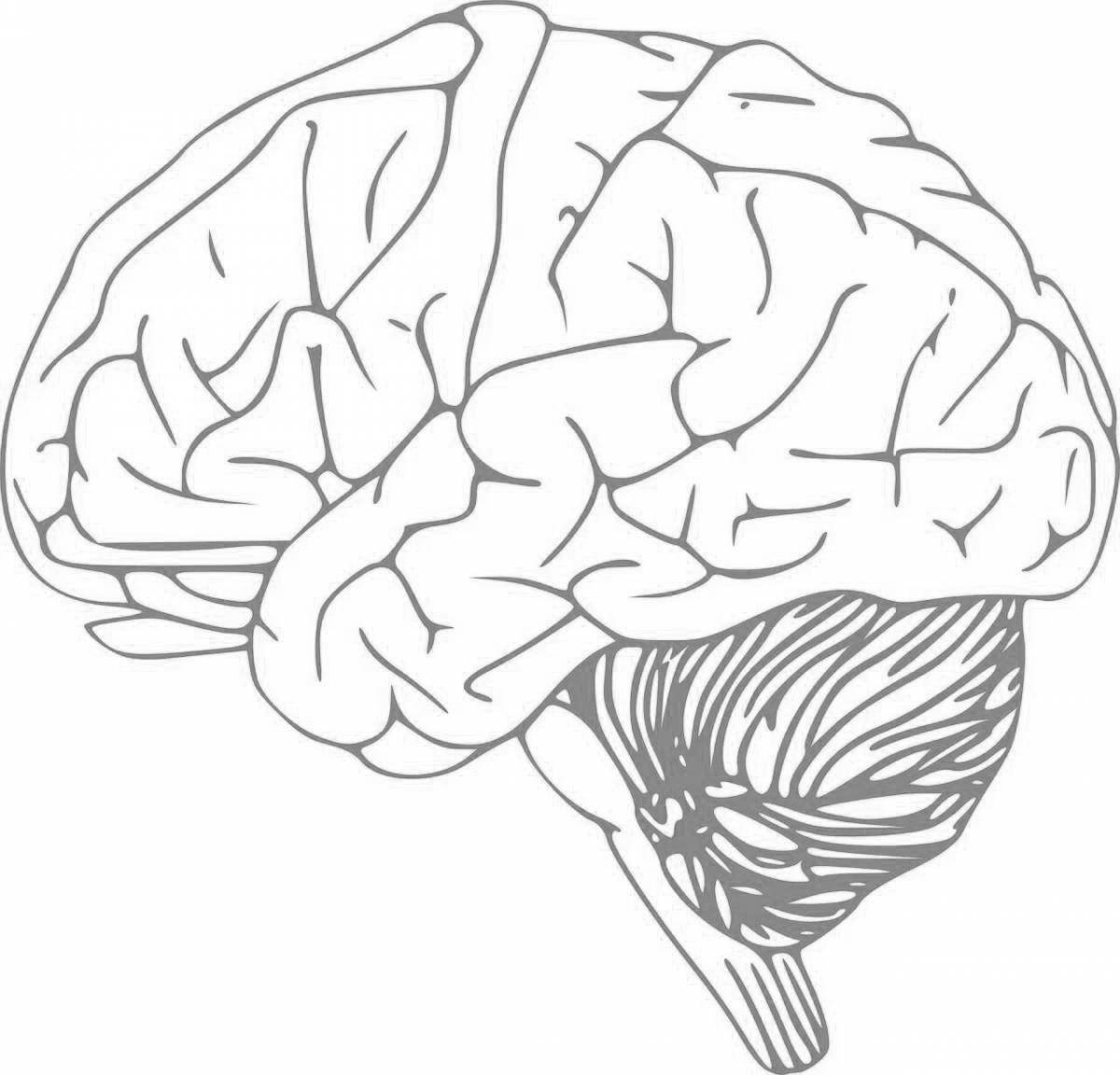 Замысловатая страница раскраски мозга