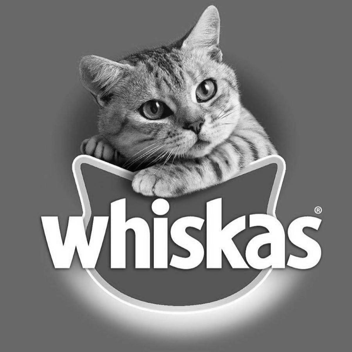 Animated whiskas cat coloring page