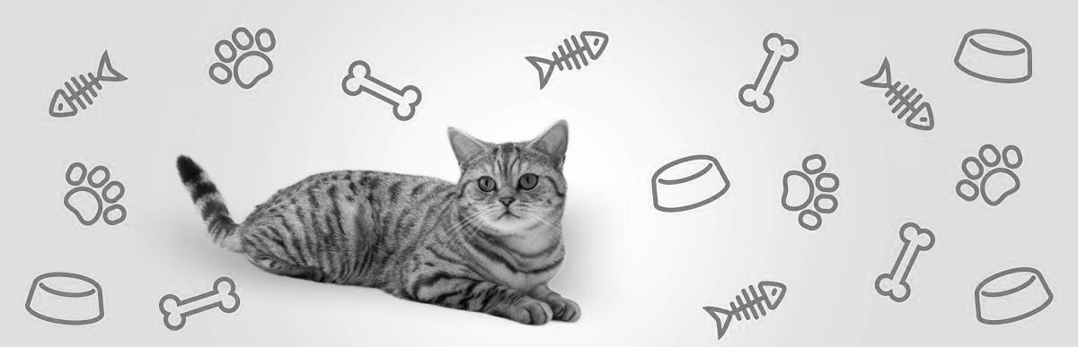 Coloring page witty whiskas cat