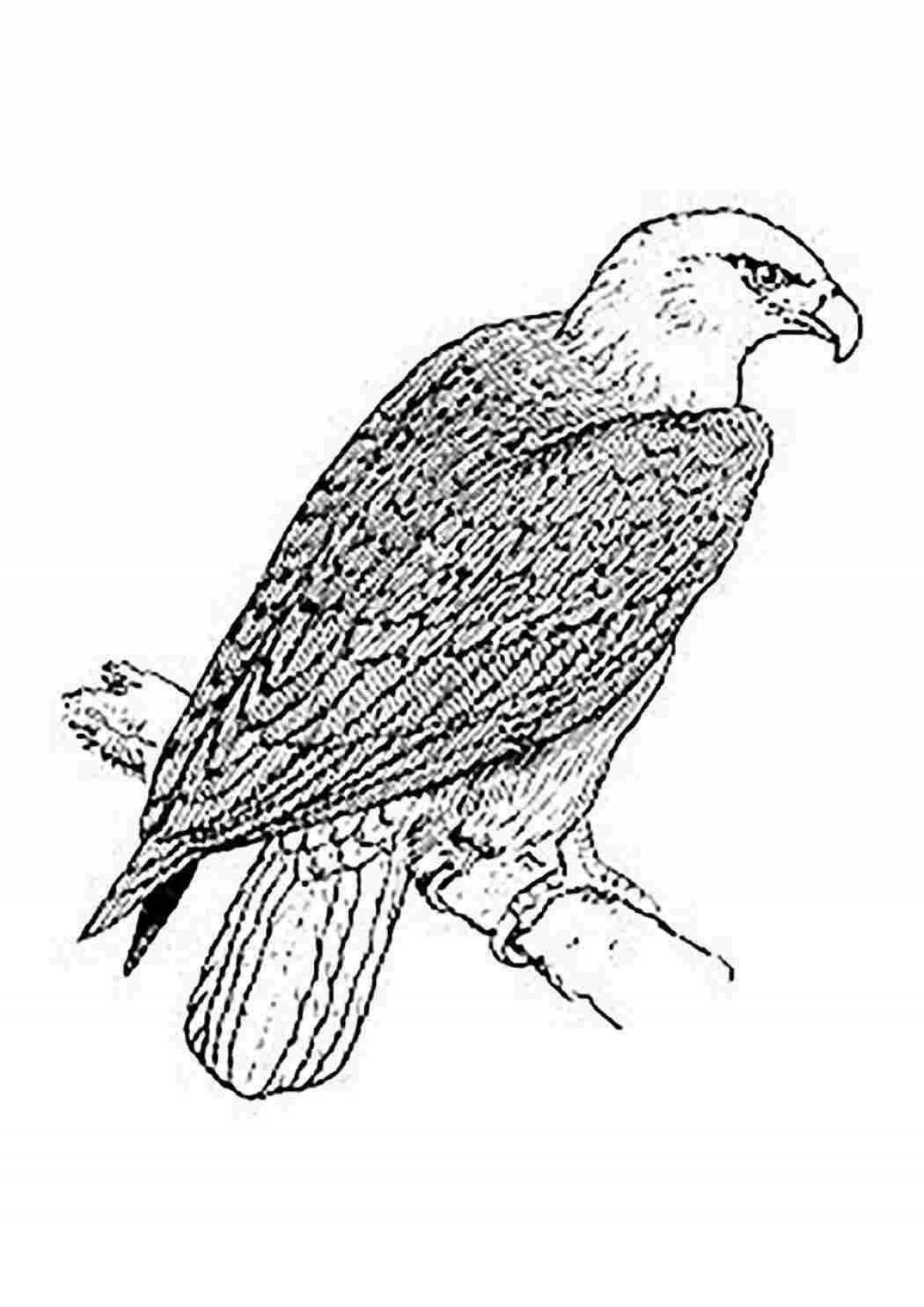Photo Coloring majestic eagle