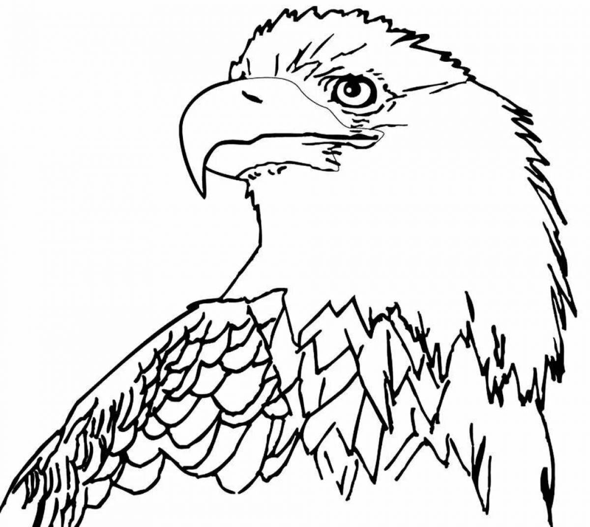 Gorgeous eagle coloring page