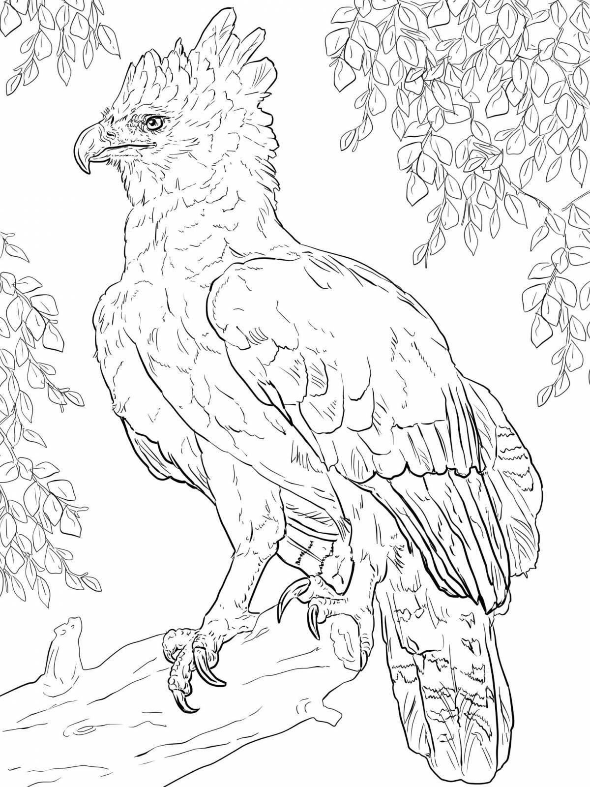 Раскраска большой орел