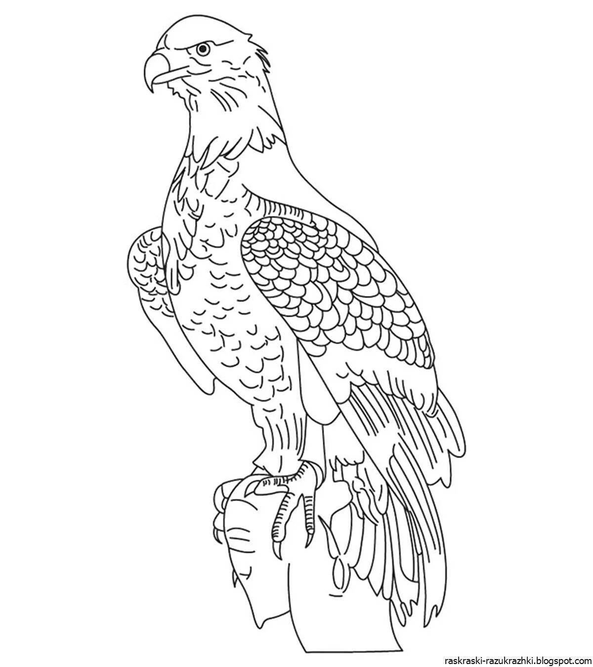Exquisite eagle coloring book