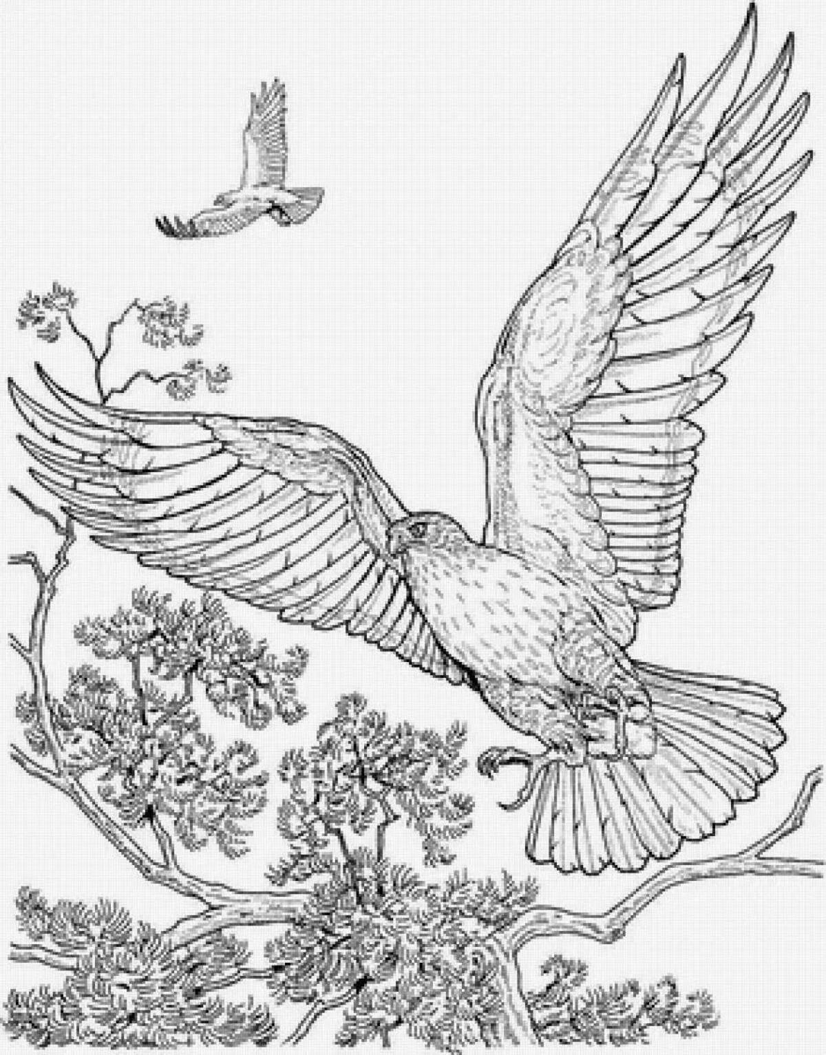 Flawless Eagle coloring page
