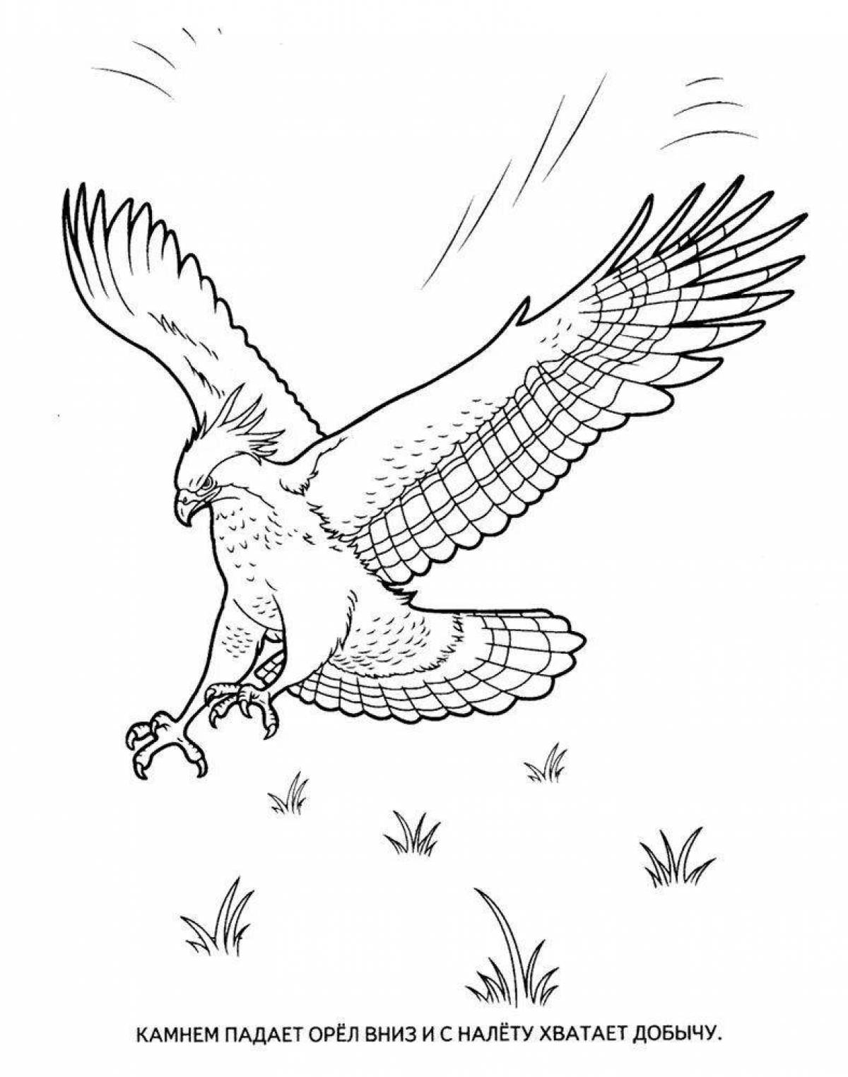 Exquisite eagle coloring page
