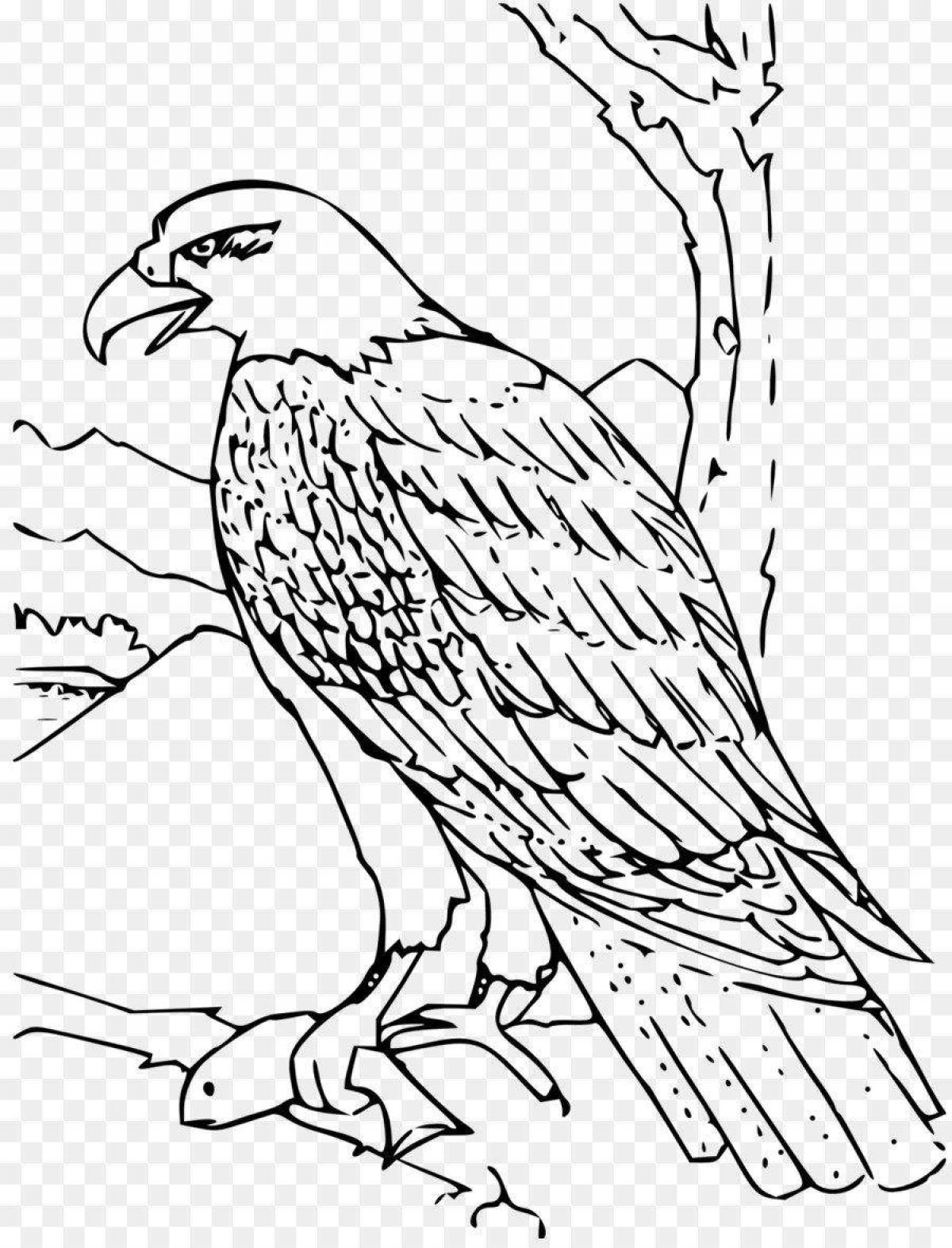 High eagle coloring page
