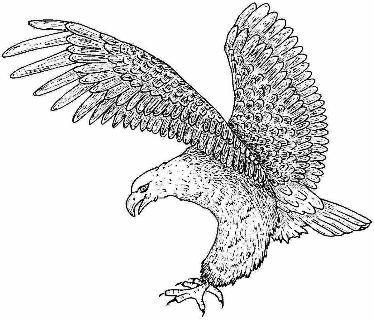 Luxury eagle coloring page