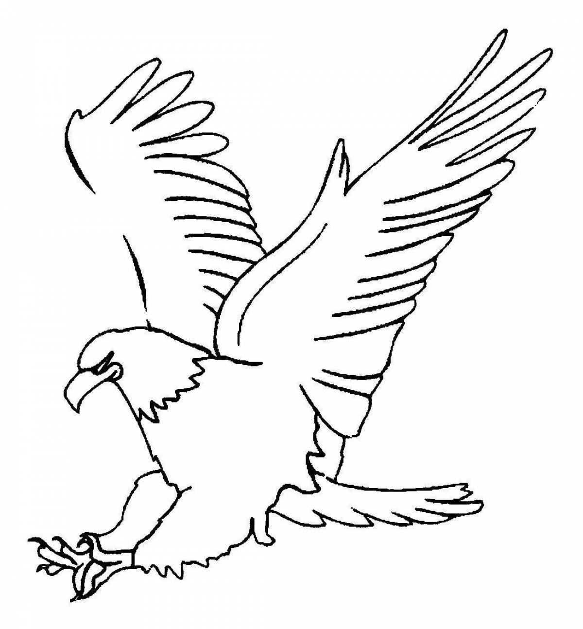 Photo Colourful eagle coloring page