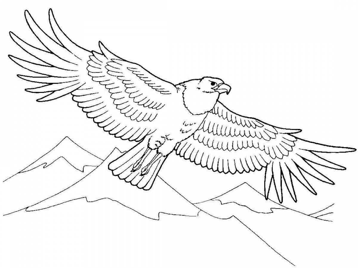 Coloring radiant eagle