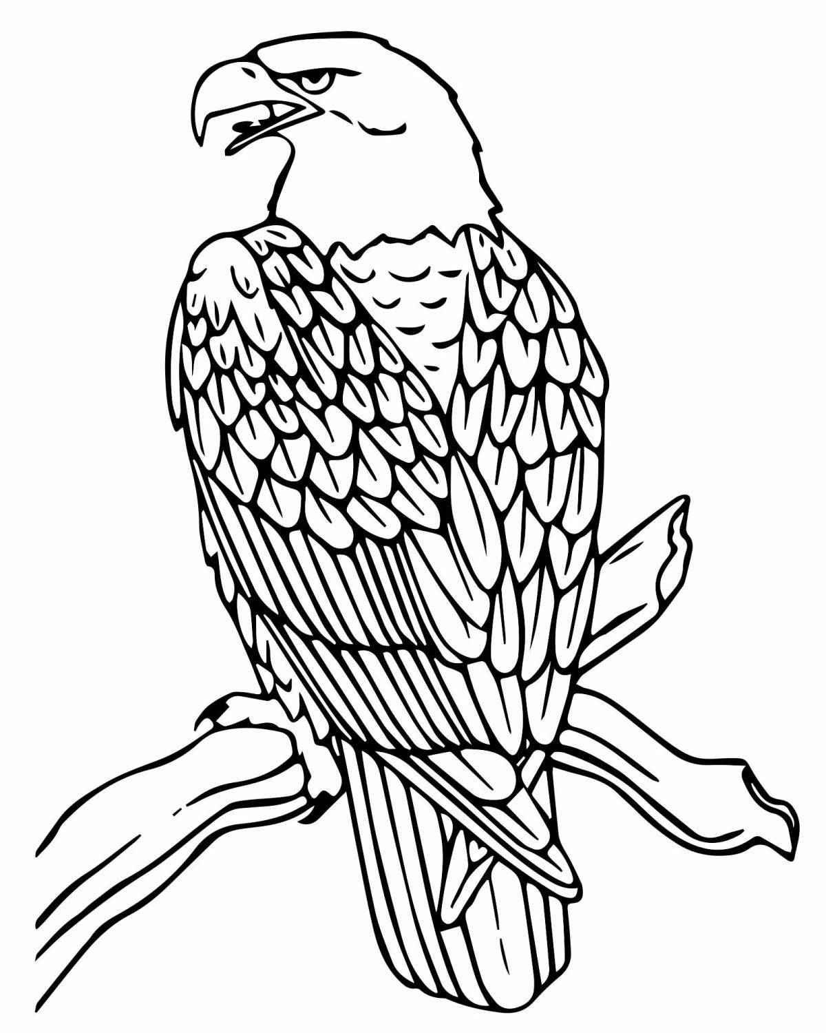 Coloring book bold eagle