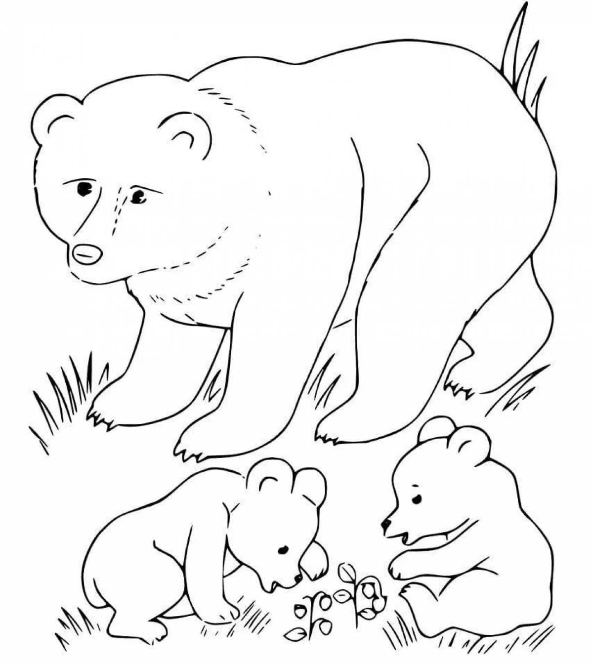 Раскраска уютная медвежья семья