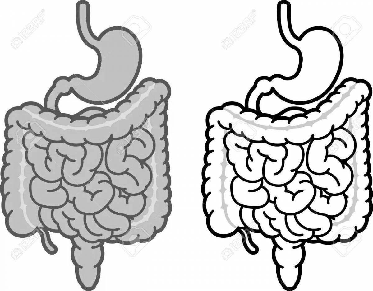Детский кишечник рисунок