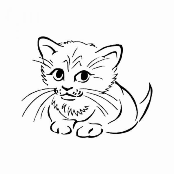 Маленькие котики раскраска