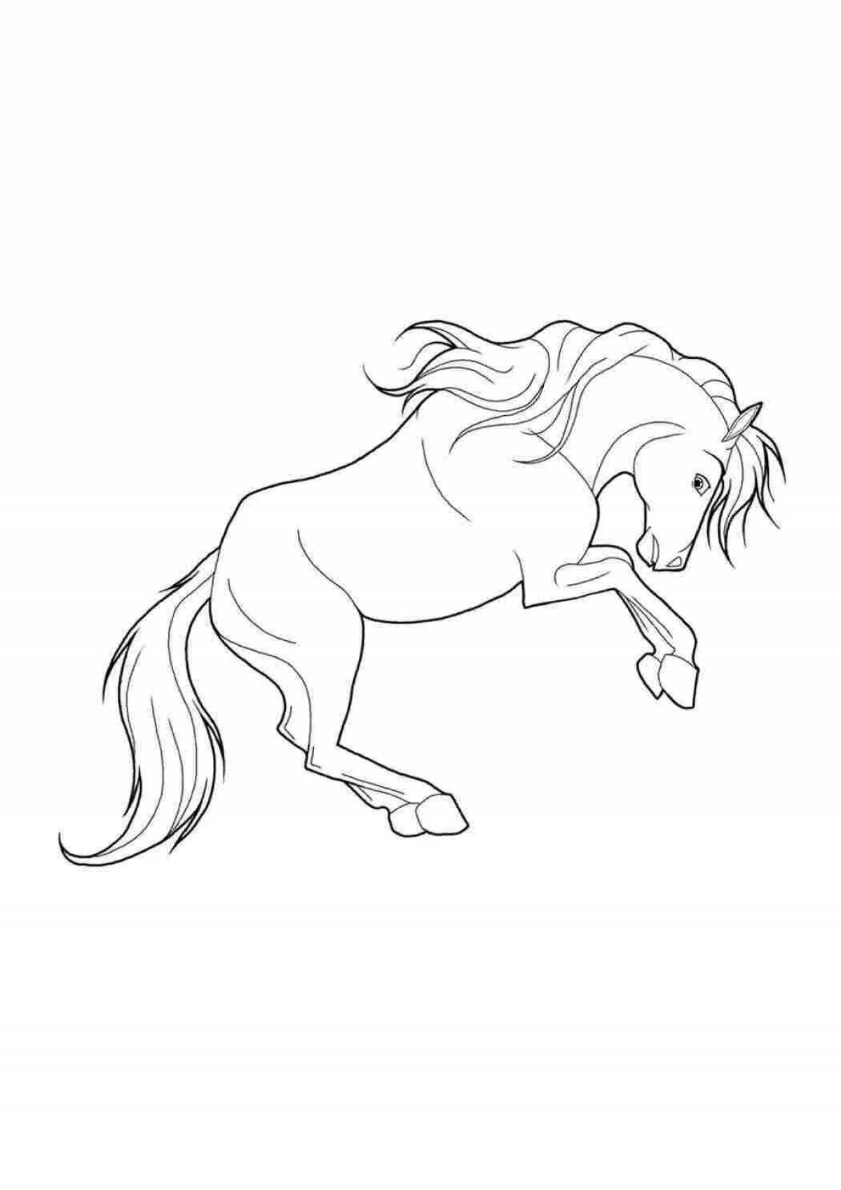 Shiny spirit horse coloring book