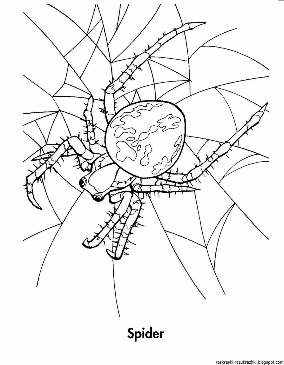 Spider cross #11