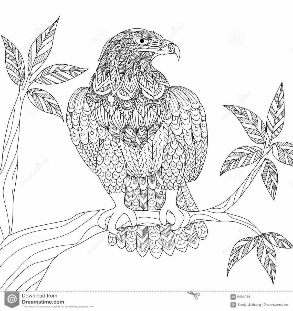 Gorgeous anti-stress eagle coloring book