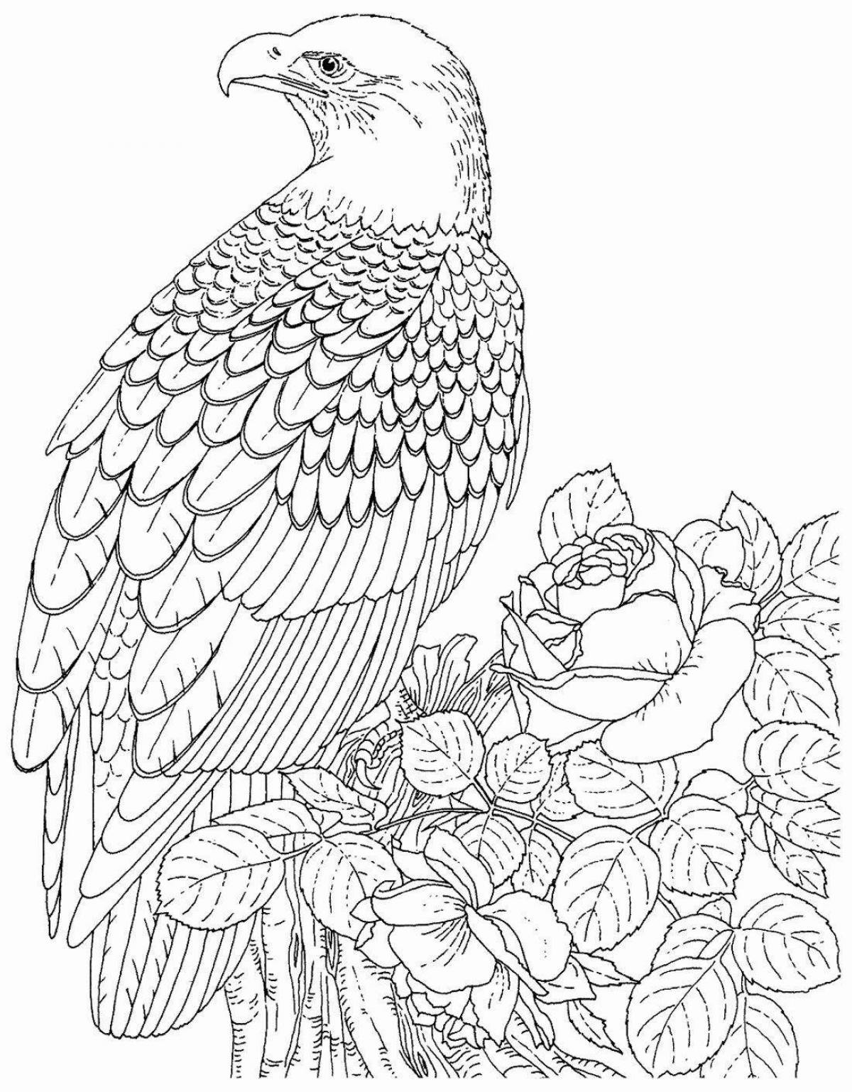 Grand coloring page антистрессовый орел