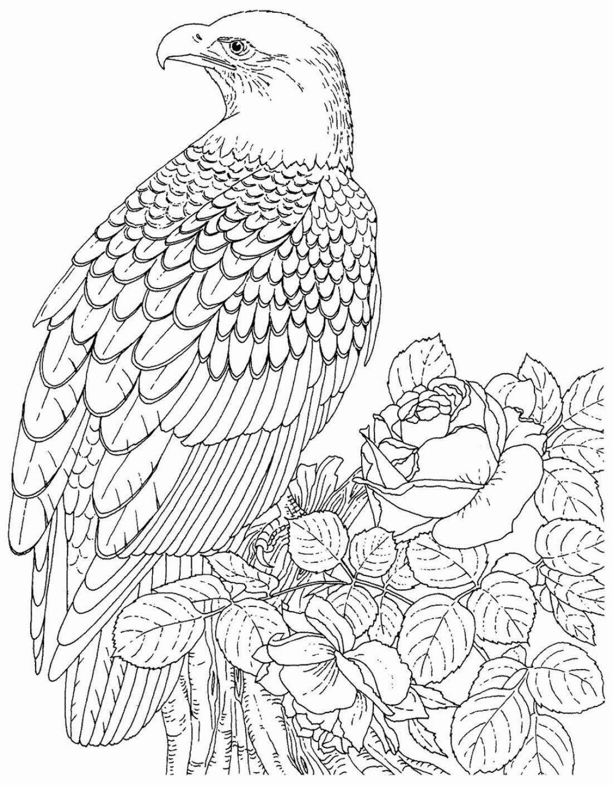 Grand coloring page anti-stress eagle